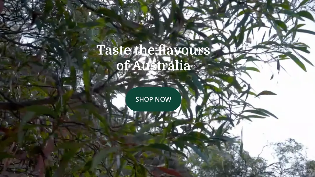 Creative Native screenshot